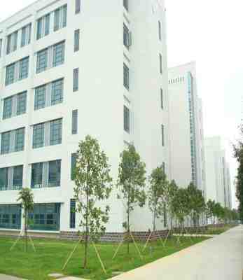 专业内外墙乳胶漆制造厂家——佛山市顺德区力涂料有限公司的匠心与创新