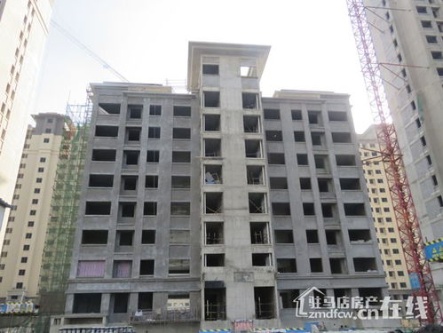 置地·清苑2021年1月工程进度 内外墙漆施工有序推进
